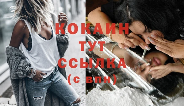 трава Белокуриха