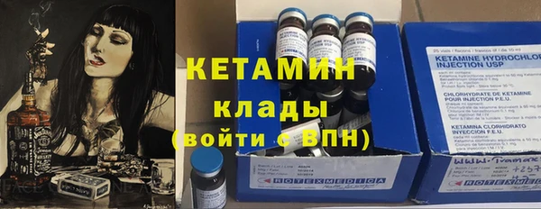 трава Белокуриха