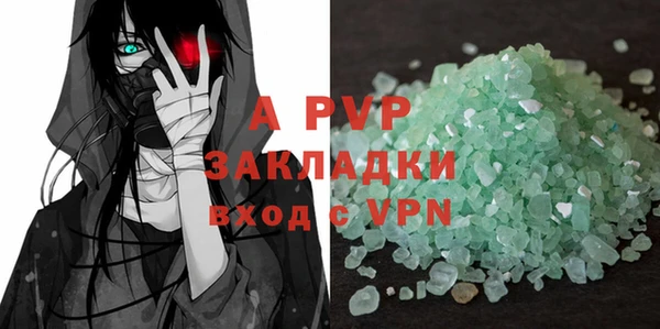 трава Белокуриха